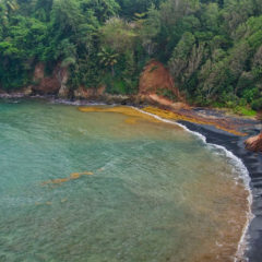 The Nature Island